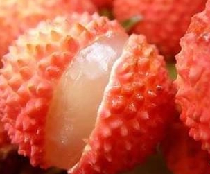 手机在线免费看片荔枝